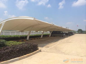 岳阳膜结构车棚 现代建筑的轻灵之美